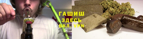 гидропоника Алзамай