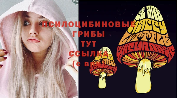 мет Абаза