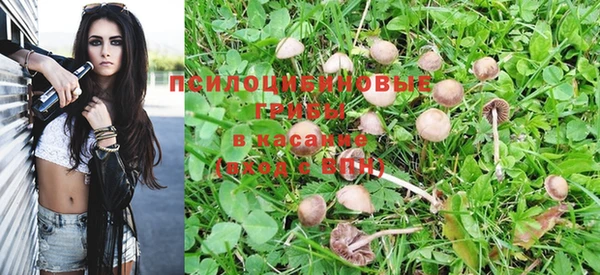 наркотики Алексеевка