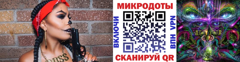 Псилоцибиновые грибы Psilocybe  Сокол 