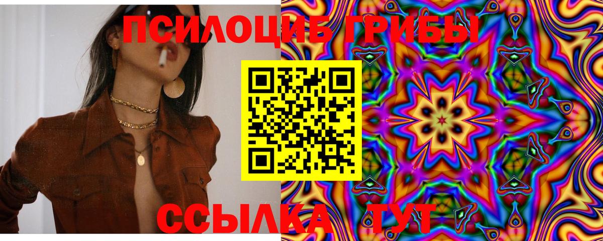 Сокол  Галлюциногенные грибы мицелий  Галлюциногенные грибы прущие грибы  Вход с VPN 