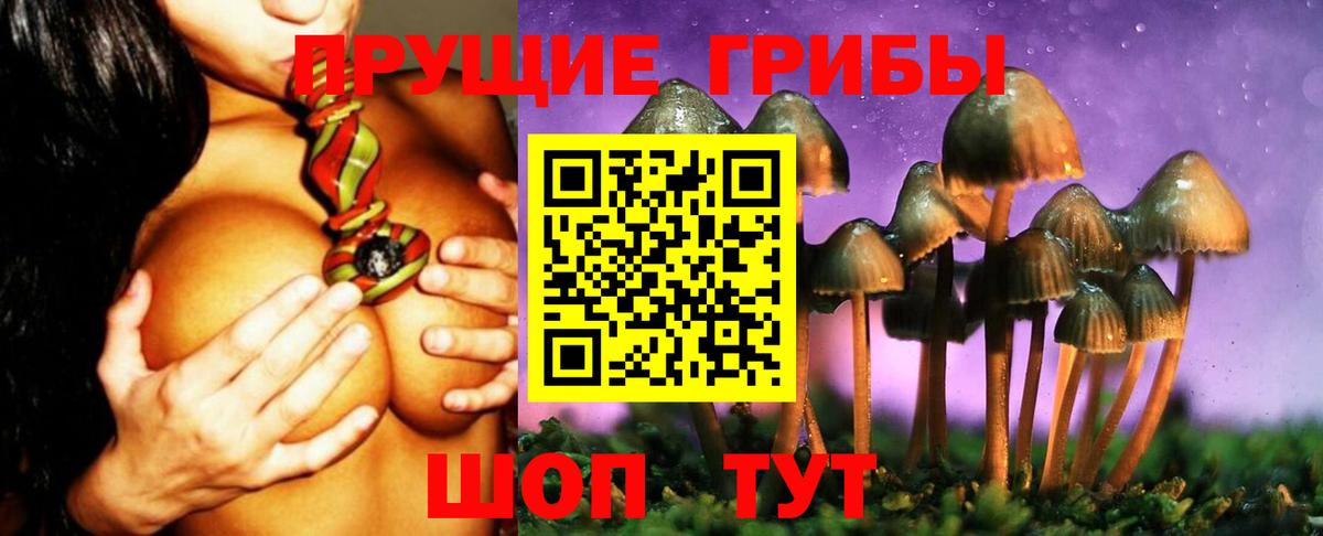 Галлюциногенные грибы мицелий Сокол